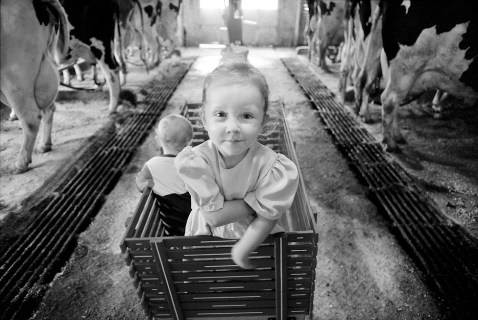 From the series Sending Milk, a project documenting Vermont family farms.