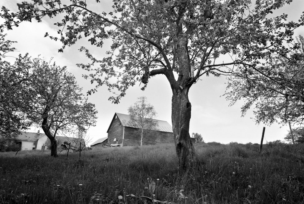 From the series Sending Milk, a project documenting Vermont family farms.