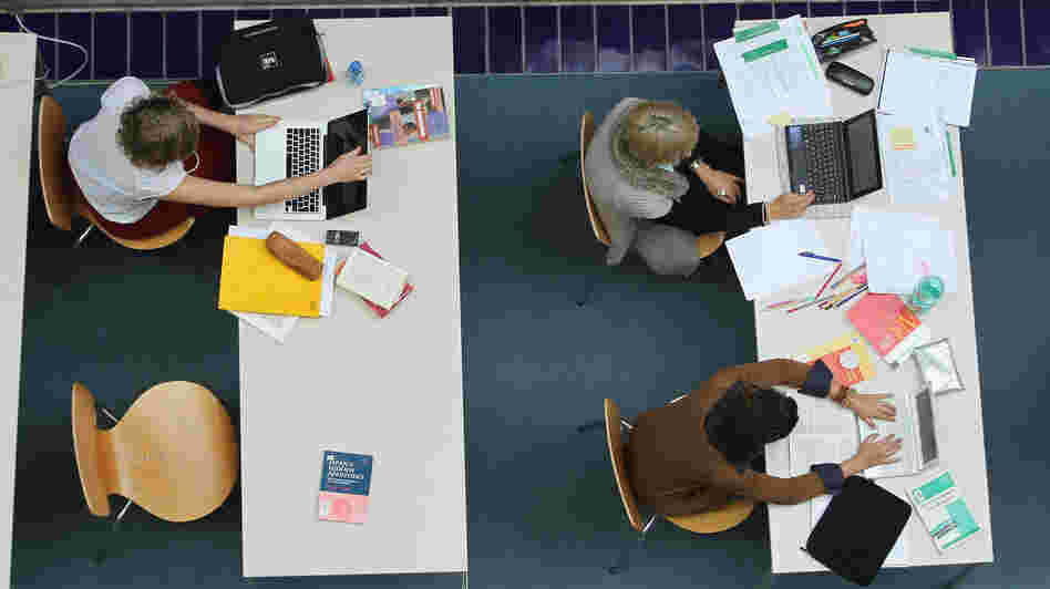 Universities are delving into online education as a way to cut costs and take in more students. But questions remain as to whether online teaching will bring the same kind of education to students.