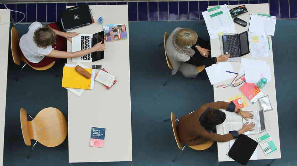 Universities are delving into online education as a way to cut costs and take in more students. But questions remain as to whether online teaching will bring the same kind of education to students.