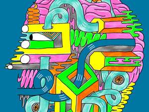 Teenagers' brains are still maturing. Erendira Citlalli Diaz de Leon developed a new software tool she used to measure the activity of brain areas separately, to track development of key regions.