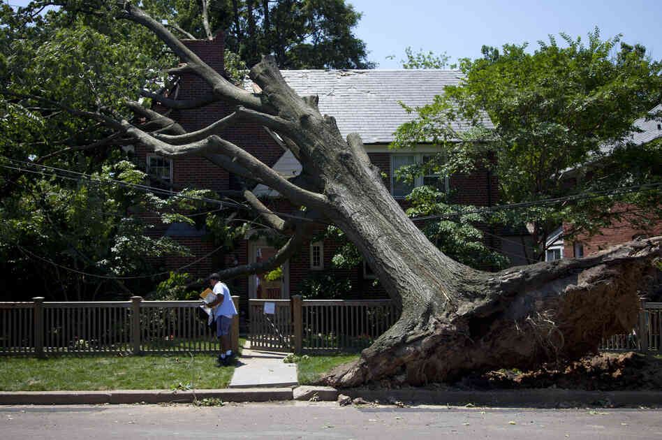 DERECHO: Letter carrier Giovanny Alvarez makes his rounds on Monday in Washington, D.C., which was still sawing and digging its way to recovery from the powerful storm that swept through Friday night.