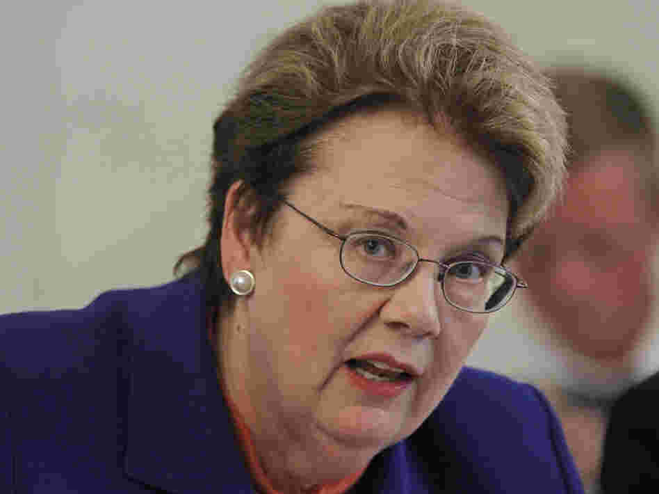 Recently reinstated University of Virginia President Teresa Sullivan came under fire for failing to move fast enough into online education.