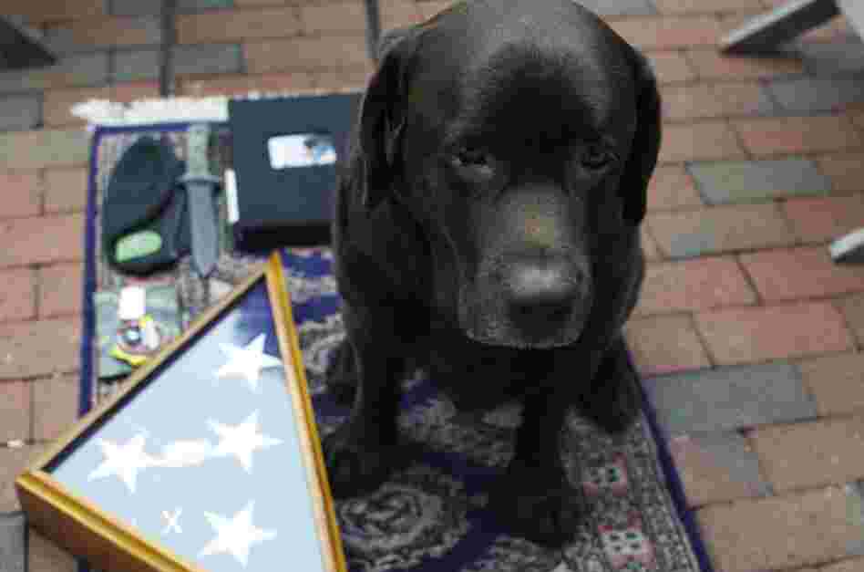 Jason McCarthy, 32, GORUCK military gear: "Java, my dog, Green Beret and Yarborough knife, Family scrapbook I had in Iraq, one-of-a-kind duct-tape wallet made by a friend, Java's finisher medal from the Chicago half marathon, grandfather's burial flag."