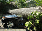 A fallen tree crushes a truck in Falls Church, Va., outside Washington. Storms across the Midwest and East downed trees and power lines and left millions without power. A fallen tree crushes a truck in Falls Church, Va., outside Washington. Storms across the Midwest and East downed trees and power lines and left millions without power.