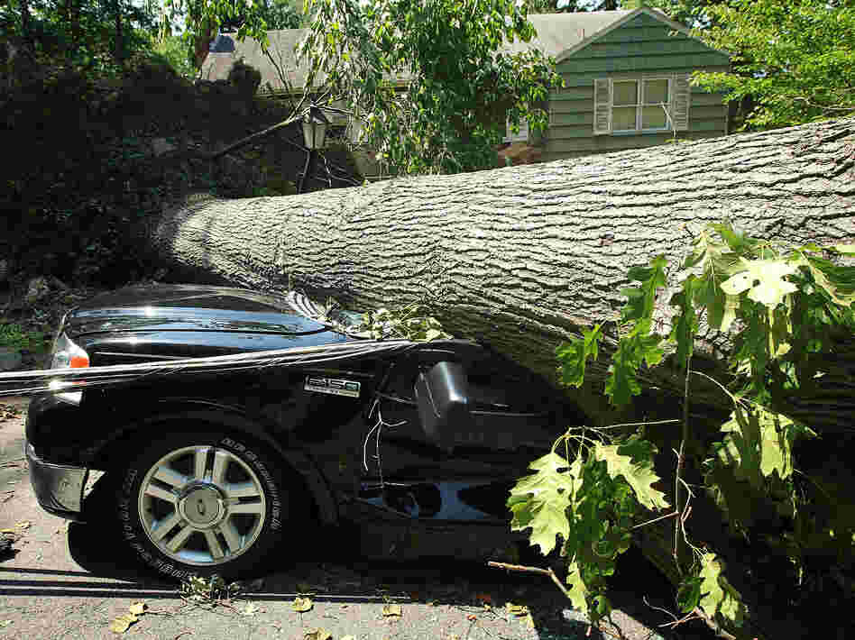 A fallen tree crushes a truck in Falls Church, Va., outside Washington. Storms across the Midwest and East downed trees and power lines and left millions without power.