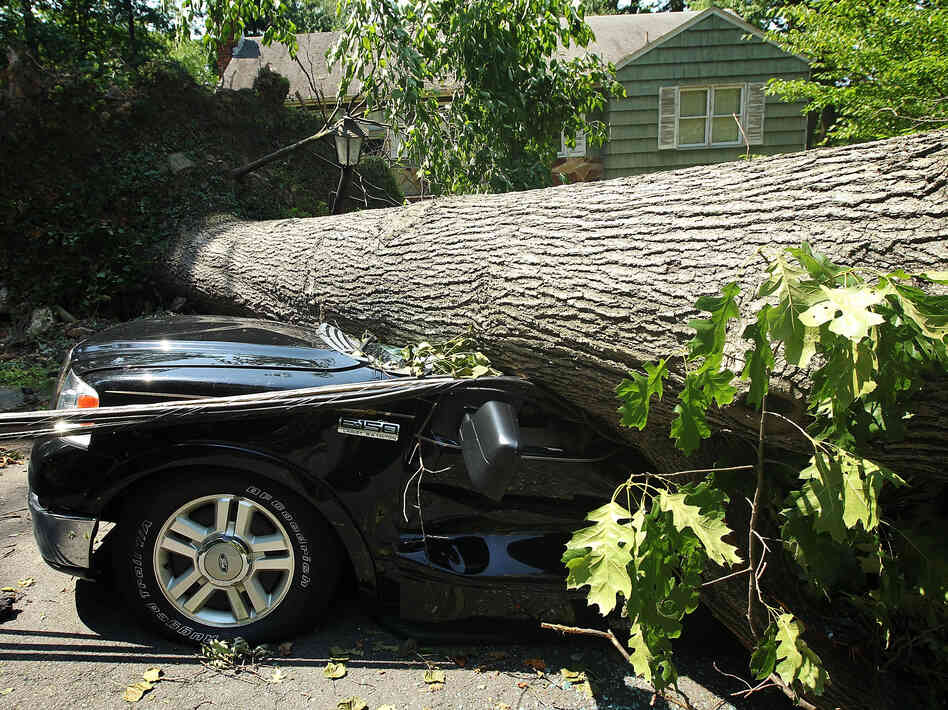 A fallen tree crushes a truck in Falls Church, Va., outside Washington. Storms across the Midwest and East downed trees and power lines and left millions without power.