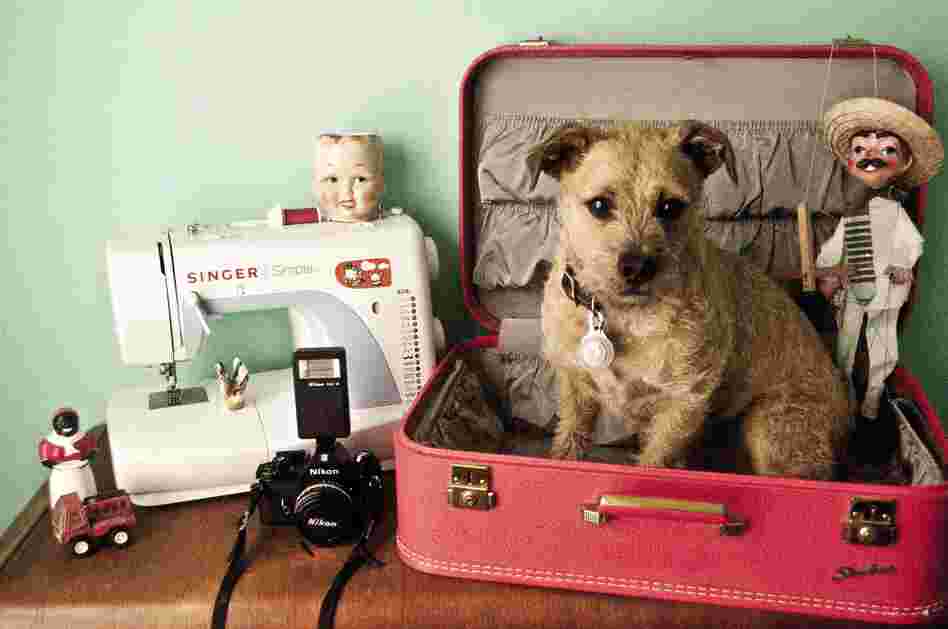 Justin R. Swaby, 25, Los Angeles, architecture student: "My dog, Rooster; Childhood toy truck; Vintage suitcase, a gift from my aunt; Nikon EM 35mm camera; Sewing machine; Baby doll head mug, a gift from a dear friend; Favorite gun-toting marionette; Small bird carved from bone, a gift from my boyfriend; Vintage porcelain black lady salt shaker."
