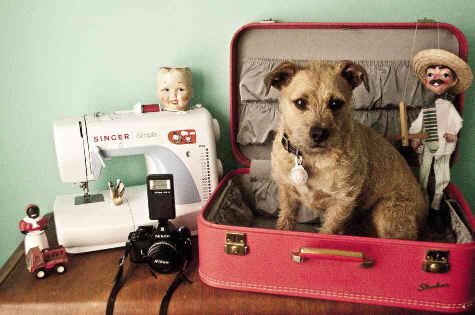 Justin R. Swaby, 25, Los Angeles, architecture student: "My dog, Rooster; Childhood toy truck; Vintage suitcase, a gift from my aunt; Nikon EM 35mm camera; Sewing machine; Baby doll head mug, a gift from a dear friend; Favorite gun-toting marionette; Small bird carved from bone, a gift from my boyfriend; Vintage porcelain black lady salt shaker."