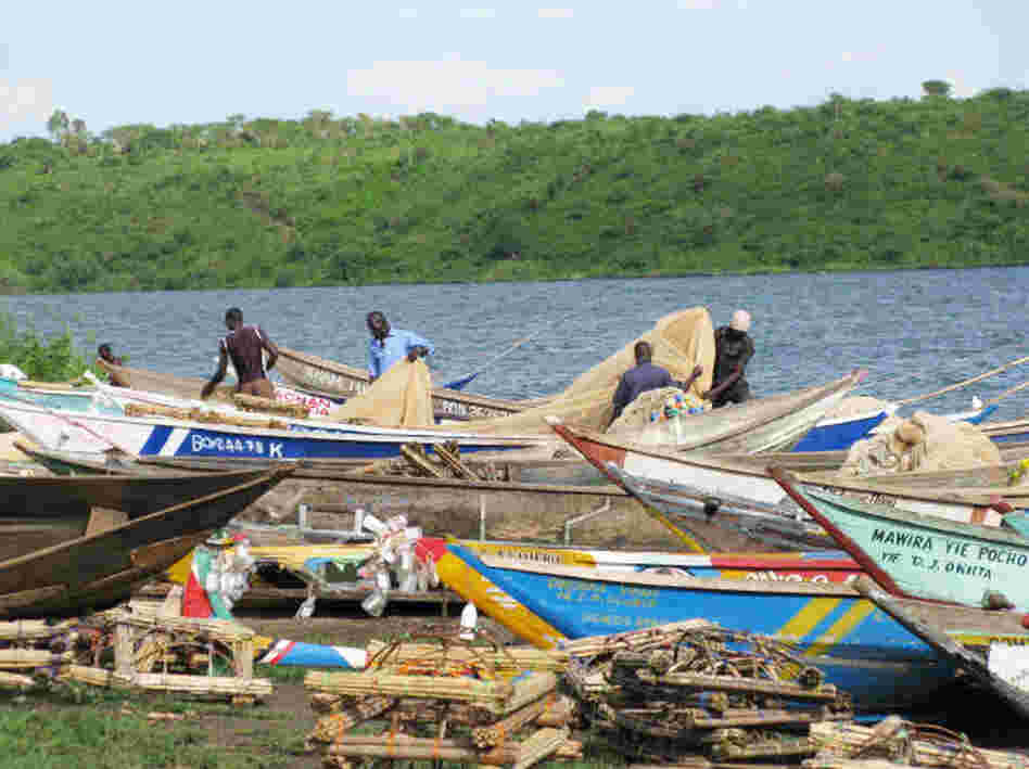 At Osindo Beach, local fishermen come in from fishing on Lake Victoria. Some fishermen are reluctant to get circumcised because they would miss three days of work.