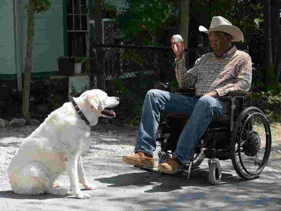 Morgan Freeman plays Monte Wildhorn in The Magic of Belle Isle. 