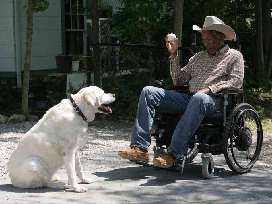 Morgan Freeman plays Monte Wildhorn in The Magic of Belle Isle. 