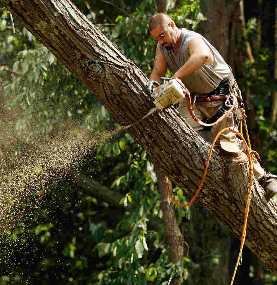 In Silver Spring, Md., on Monday, Matt MacCartney was one of many workers dismantling fallen trees that took down power lines.