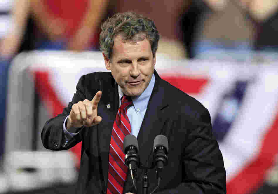 Democratic Sen. Sherrod Brown speaks in Columbus, Ohio, in May. Brown, who is up for re-election this year, says he wakes up every day "trying to figure out how to create jobs."