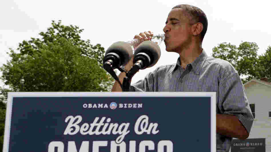 President Obama at a campaign event at the Wolcott House Museum Complex in Maumee, Ohio.