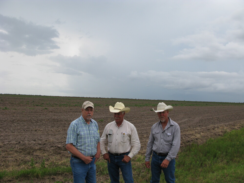 For the first time in their farm's history, brothers G.W. (from left), Derril and Wesley Franzen can't plant rice on their land because the drought forced Texas to cut off their agriculture water.