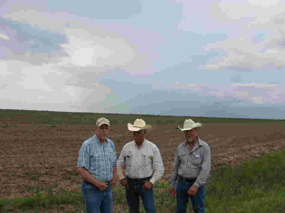 For the first time in their farm's history, brothers G.W. (from left), Derril and Wesley Franzen can't plant rice on their land because the drought forced Texas to cut off their agriculture water.