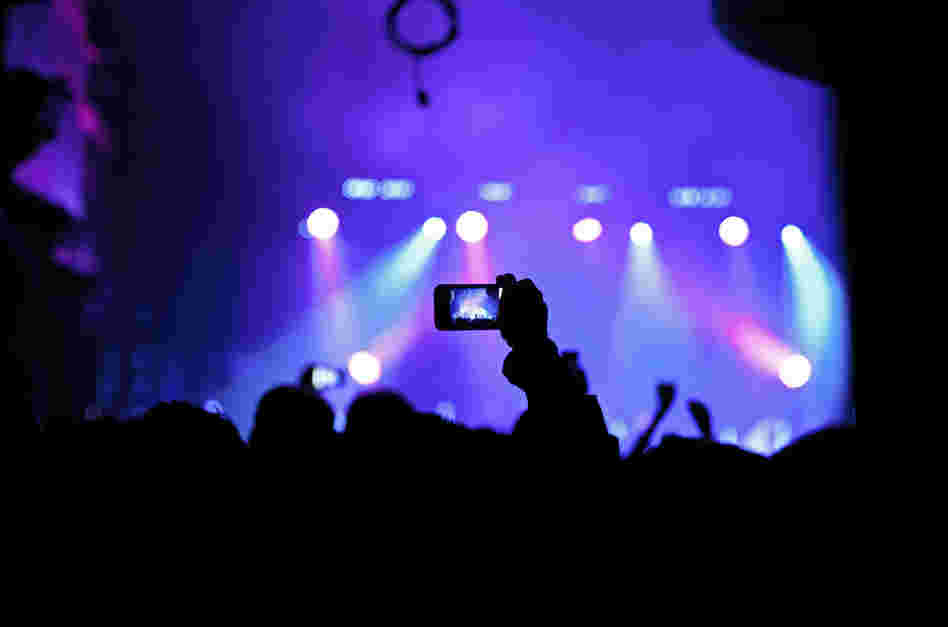 Concertgoers at Webster Hall in New York City during a show by M83 on Nov. 22, 2011.