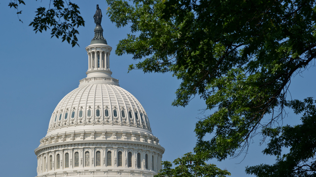 The dome of the U.S. Capitol.