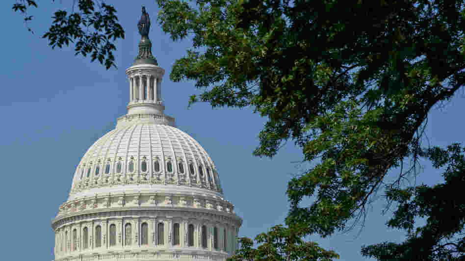 The dome of the U.S. Capitol.