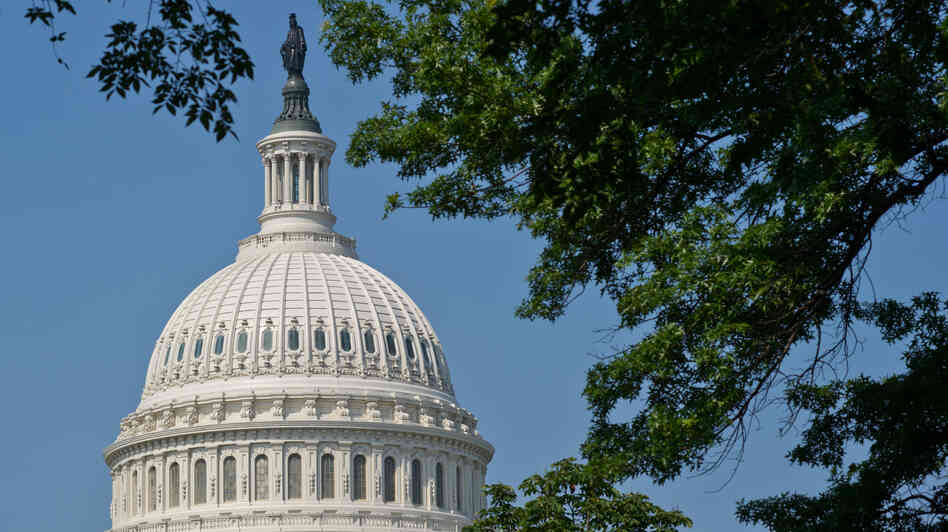 The dome of the U.S. Capitol.