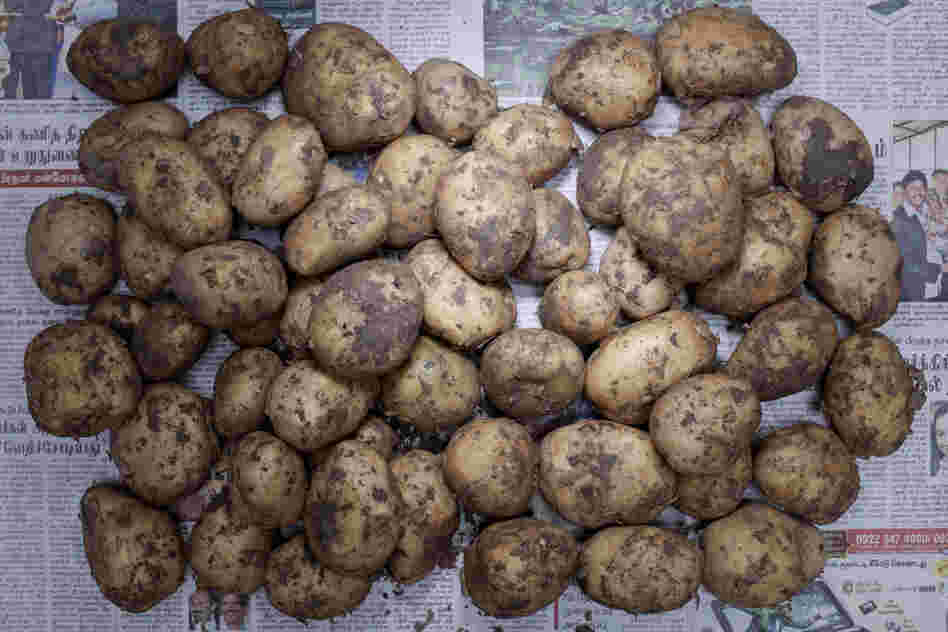 India: 32 rupees , or 60 cents U.S., of potatoes.