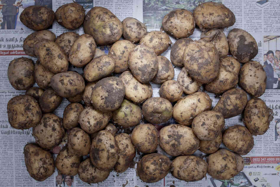 India: 32 rupees , or 60 cents U.S., of potatoes.