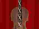 The Violinist's Thumb cover.