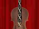 The Violinist's Thumb cover.