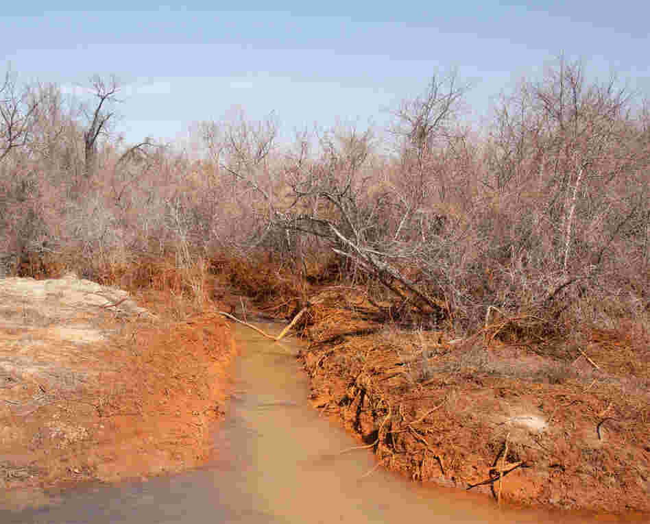 Tar Creek, 2011. Treece is part of the Tar Creek Superfund site, one of the largest Superfund sites in the United States. (According to the EPA, a Superfund site is "an uncontrolled or abandoned place where hazardous waste is located.")