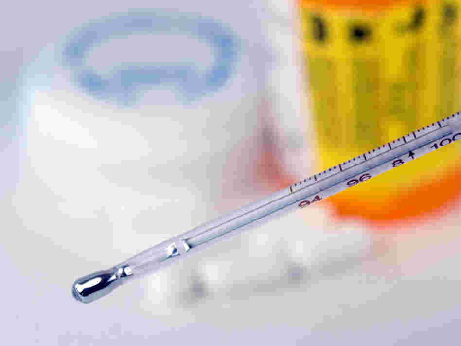 When the outside temperature feels like a fever, your medicines are at risk. When the outside temperature feels like a fever, your medicines are at risk.