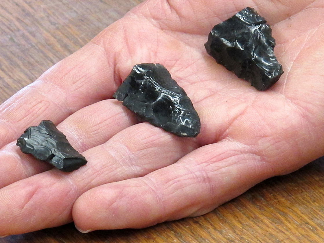 Displayed in the hand of University of Oregon archaeologist Dennis Jenkins are three bases for western stemmed projectiles from the Paisley Caves in Oregon. The bases date to some 13,000 years ago.