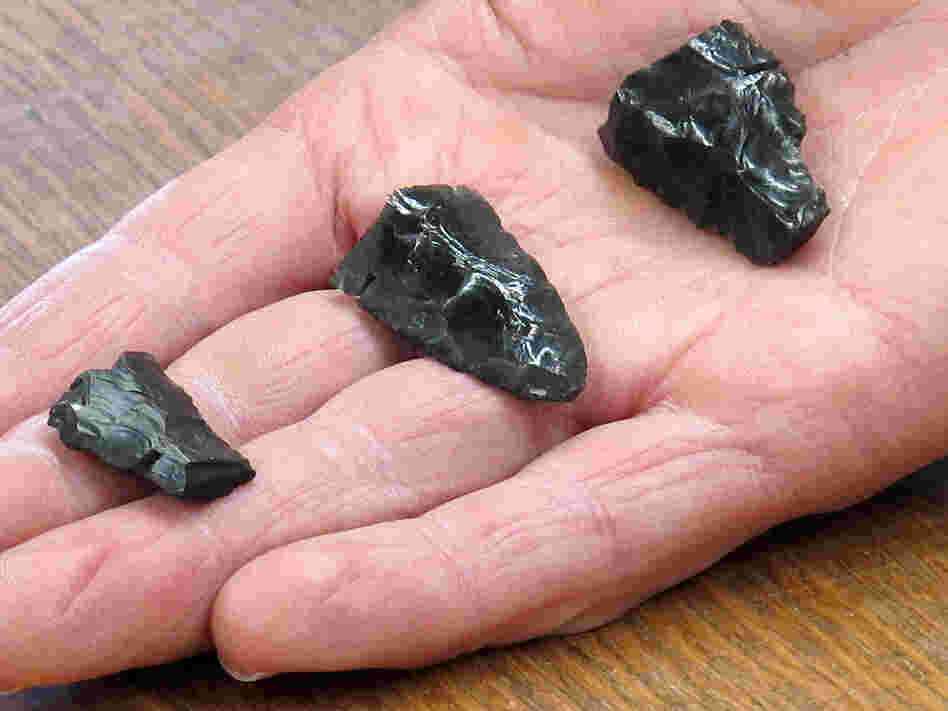 Displayed in the hand of University of Oregon archaeologist Dennis Jenkins are three bases for western stemmed projectiles from the Paisley Caves in Oregon. The bases date to some 13,000 years ago.