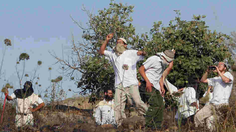 Jewish settlers in the West Bank throw stones during clashes with Palestinians near the city of Nablus on May 19. A new report says violence by settlers directed at West Bank Palestinians is up sharply over the past three years.