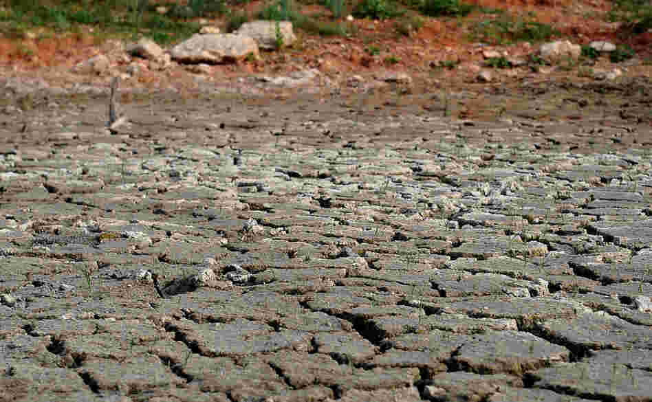 In this Aug. 2, 2011 file photo, the bottom of the pond at the Gene Howe Wildlife Management Area is nearly dried up in Amarillo, Texas. A devastating drought across Texas turned rivers into sand, creeks into mud, springs into mere trickles and lakes into large puddles.