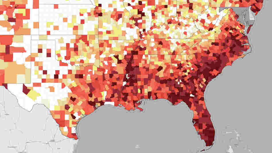 Almost half of new AIDS cases in the U.S. each year are seen in the South.