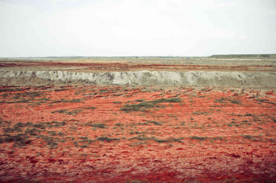 From Palindromo Meszaros' "The Line"