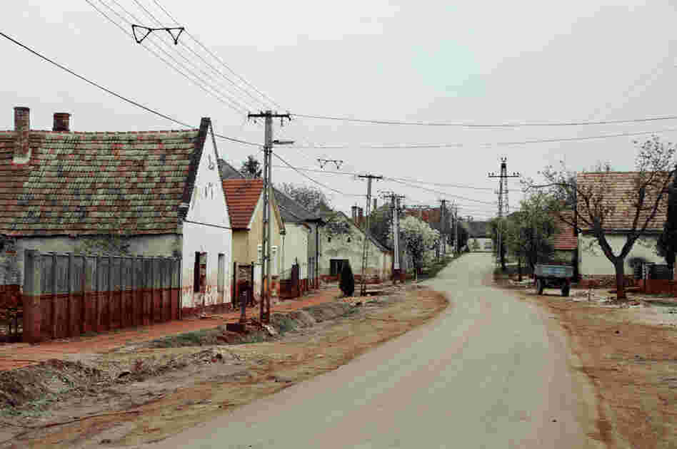 From Palindromo Meszaros' "The Line"