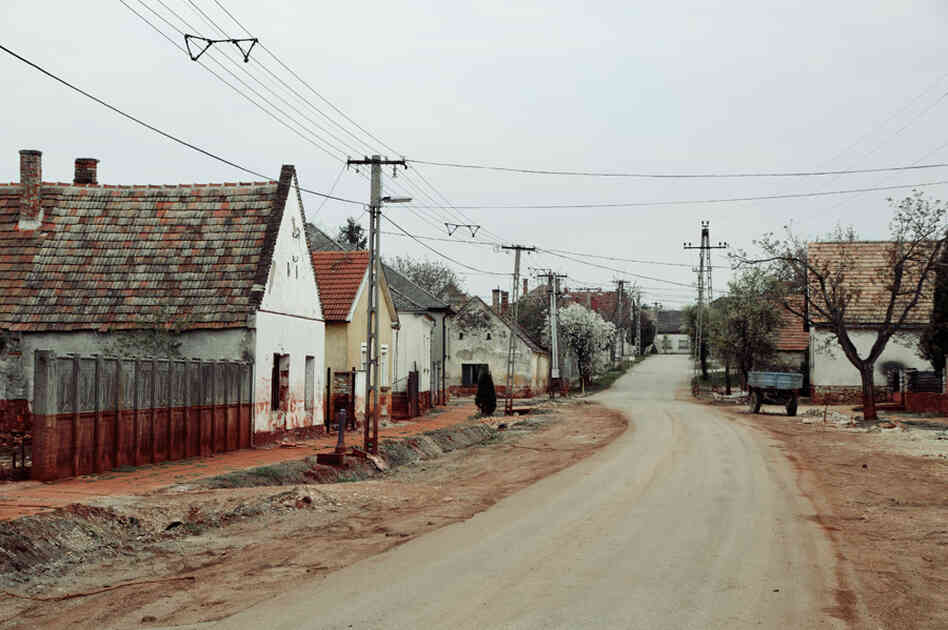 From Palindromo Meszaros' "The Line"