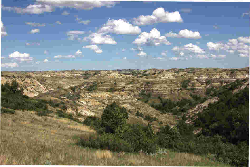 The ravines, or coulees, of the Badlands made for some arduous roundups, which Roosevelt reportedly enjoyed.