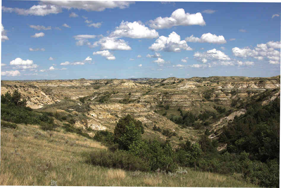 The ravines, or coulees, of the Badlands made for some arduous roundups, which Roosevelt reportedly enjoyed.