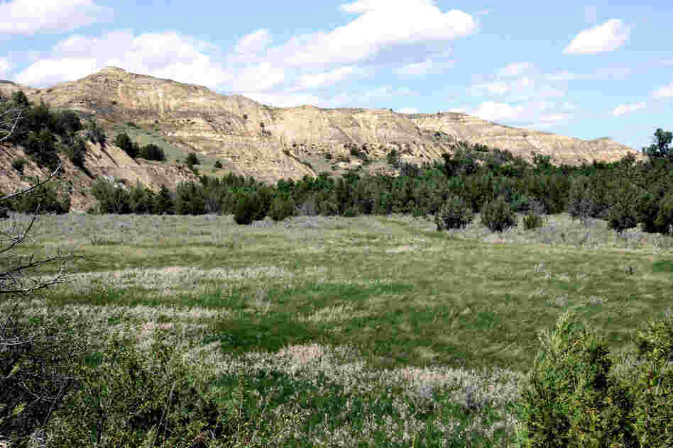 Just behind Theodore Roosevelt's Elkhorn Ranch in North Dakota, hills border the Little Missouri Valley. The area is now a national park.