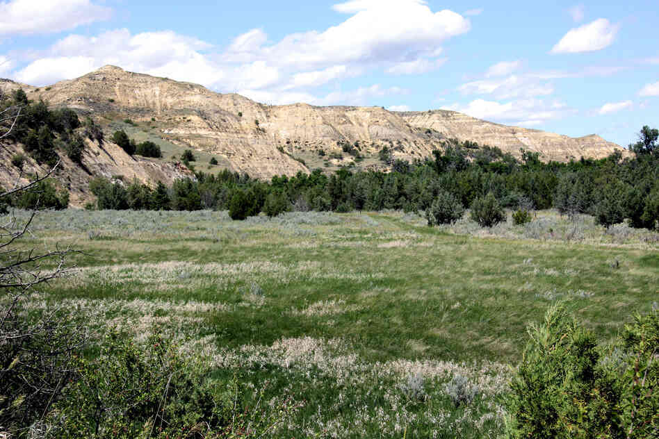Just behind Theodore Roosevelt's Elkhorn Ranch in North Dakota, hills border the Little Missouri Valley. The area is now a national park.