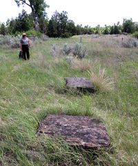 Park Superintendent Valerie Naylor points out the massive foundation stones for the ranch house.