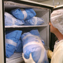 Unlike organs, tissue doesn't need to be transplanted immediately. Storage facilities like Tissue Banks International in San Rafael, Calif., process and store donated tissue for later use in medical products or as transplants. Unlike organs, tissue doesn't need to be transplanted immediately. Storage facilities like Tissue Banks International in San Rafael, Calif., process and store donated tissue for later use in medical products or as transplants.
