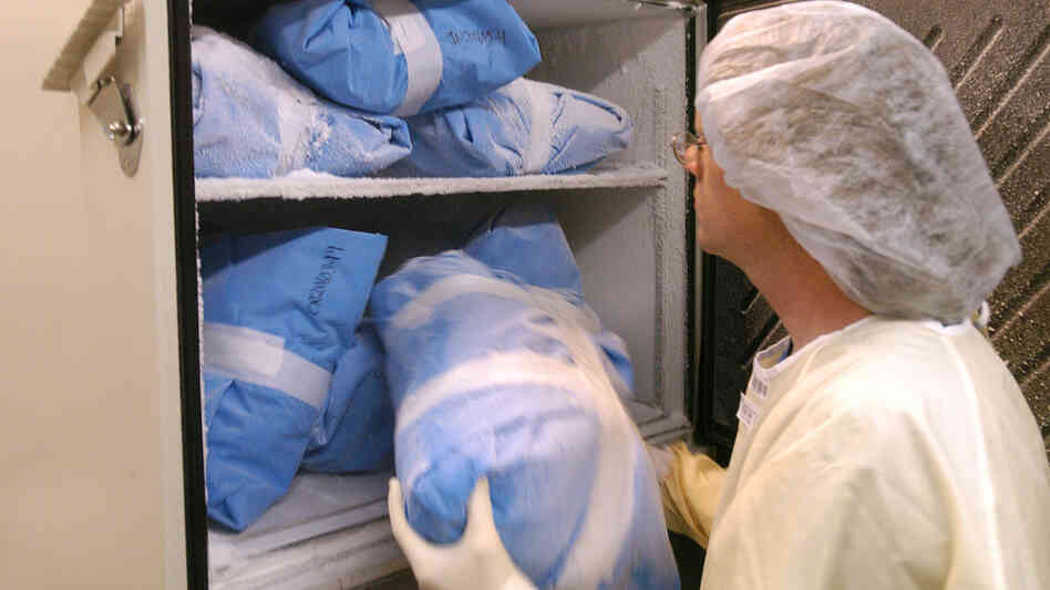 Unlike organs, tissue doesn't need to be transplanted immediately.  Storage facilities like Tissue Banks International in San Rafael, Calif., process and store donated tissue for later use in medical products or as transplants.