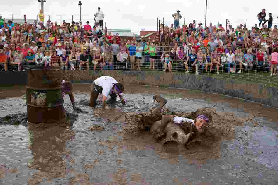 Hog wrestling, Viroqua, Wis.