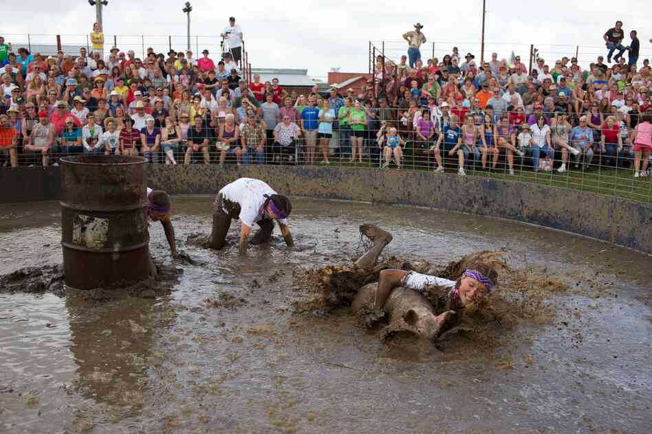 Hog wrestling, Viroqua, Wis.
