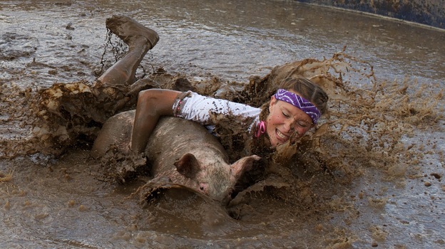 Hog Wrassling, Viroqua, Wisc. (Courtesy of Sol Neelman)