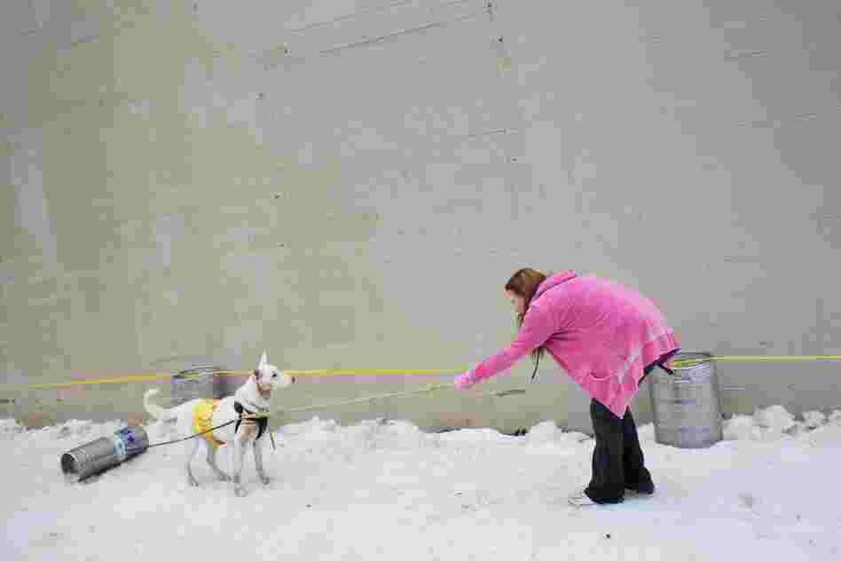 K-9 Keg Pull, Sandpoint, Idaho